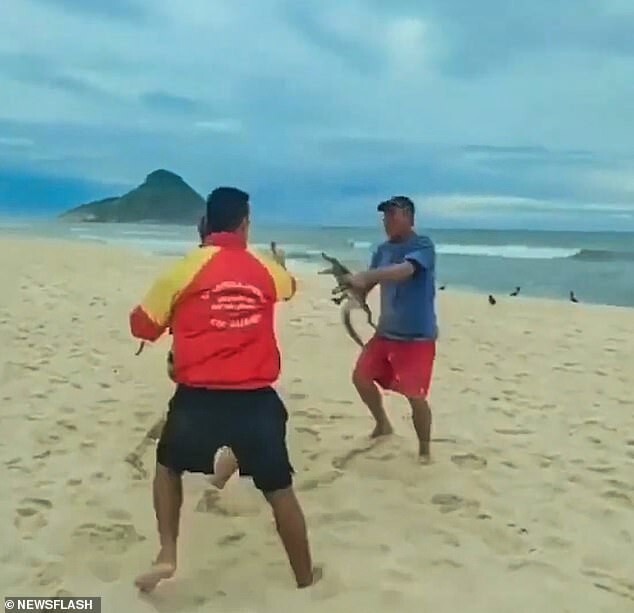 Все средства хороши: мужчина отбивался аллигатором в драке на пляже