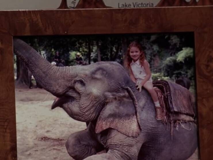 В комедии "Дрянные девчонки" героиня Линдси Лохан говорит, что раньше жила в Африке. Однако на ее детской фотографии она сидит на азиатском слоне, а не на африканском