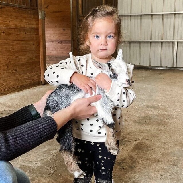 3. Она пыталась украсть козленка с фермы сразу после того, как была сделана фотография. Крепко прижала его к себе и понеслась к машине
