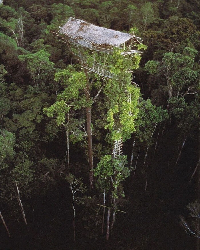 16. Заброшенный дом аборигенов в Папуа-Новой Гвинее
