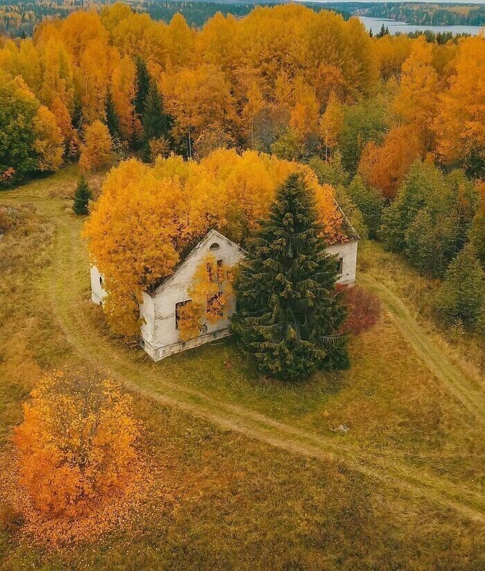 2. Заброшенный дом в Республике Карелия, Россия