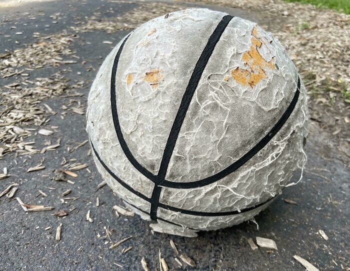 9. "Баскетбольный мяч, который живет в местном парке и, как ни странно, до сих пор упругий"