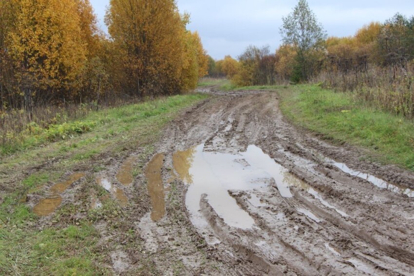 Места были глухие, дороги были проходимые только для тракторов