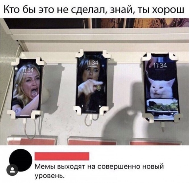 Смешные и познавательные картинки