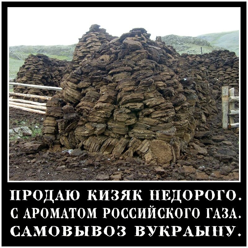 Рада и навоз, недоделанная Латвия, фантазии Forbes: Подробнее: 