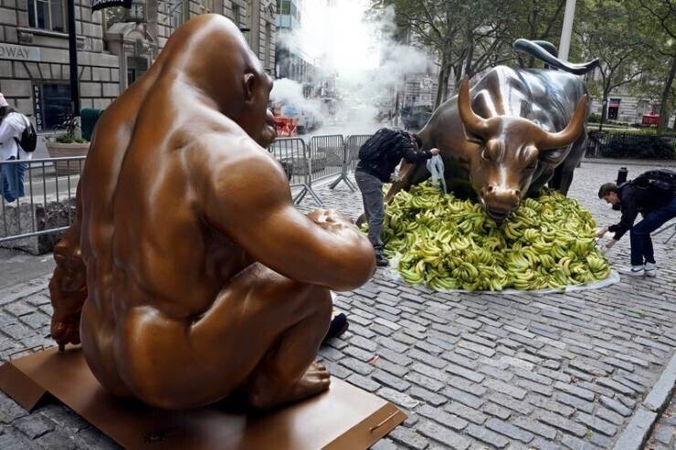 12. Статуя печально известной гориллы Харамбе высотой более 2 метров была установлена на Уолл-стрит прямо напротив статуи атакующего быка