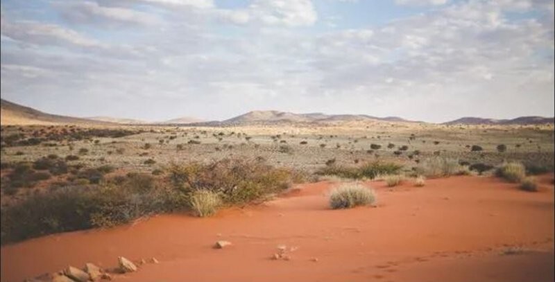 Африка. Пустыня Калахари — родина арбузов