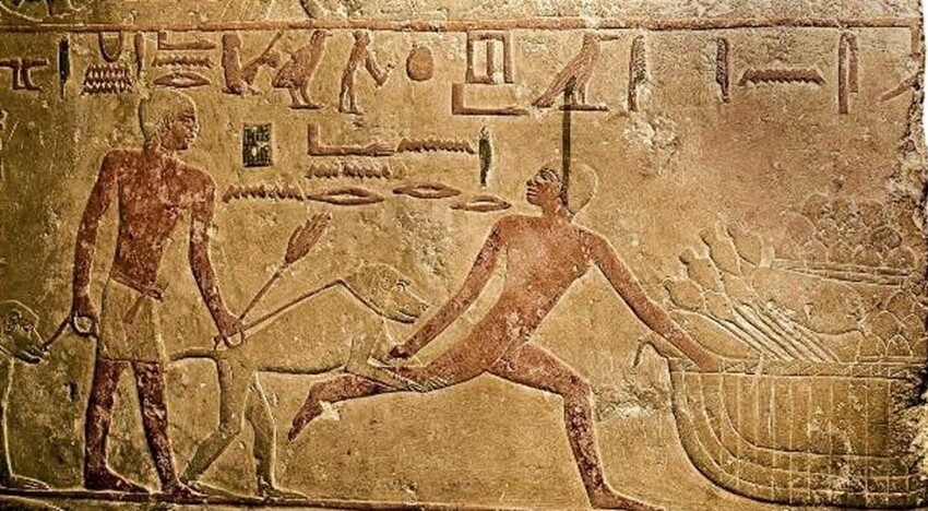 26. Древние египтяне ловили преступников с помощью дрессированных бабуинов