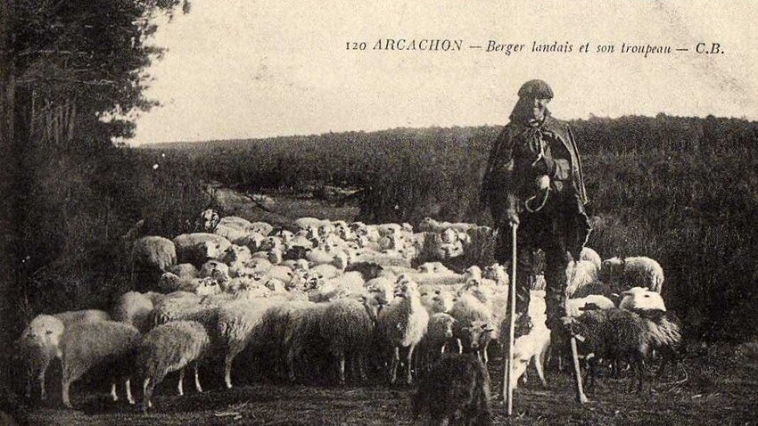 28. Пастухи в некоторых частях Франции обычно носили ходули, чтобы следить за своими стадами и не промочить ноги на болотах