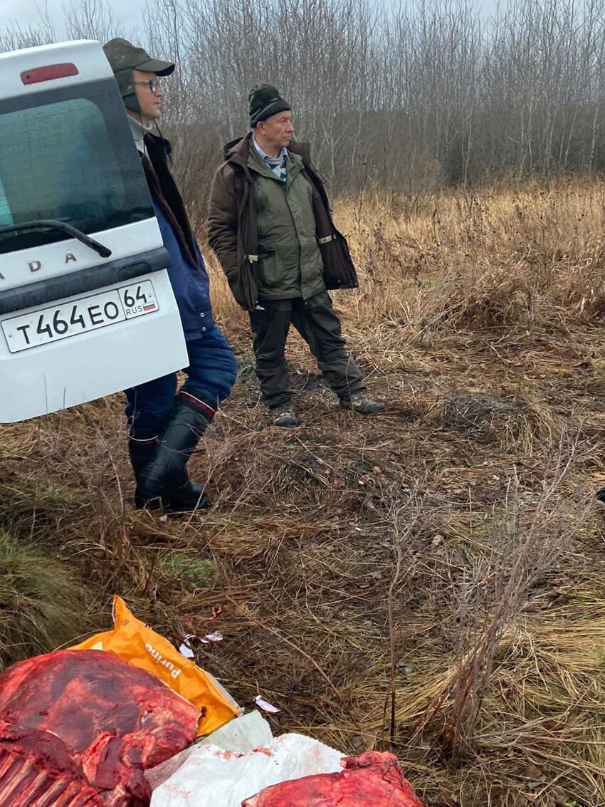 Не виноватая я: в лесу под Саратовом был задержан депутат Госдумы Рашкин с тушей убитого лося
