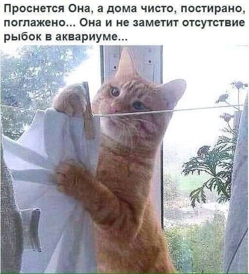 На ночь глядючи в субботу