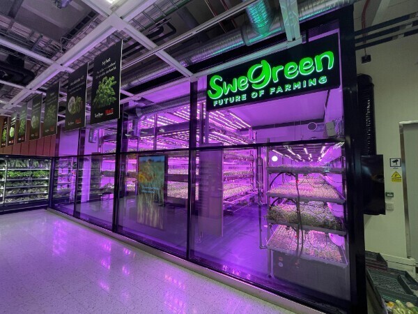 Магазин, где в теплицах выращивается зелень и тут же продается