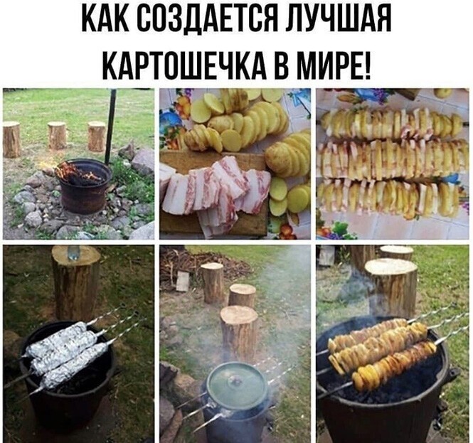 Смешные и познавательные картинки