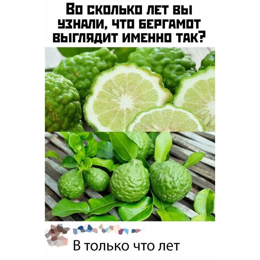 Так вот он какой