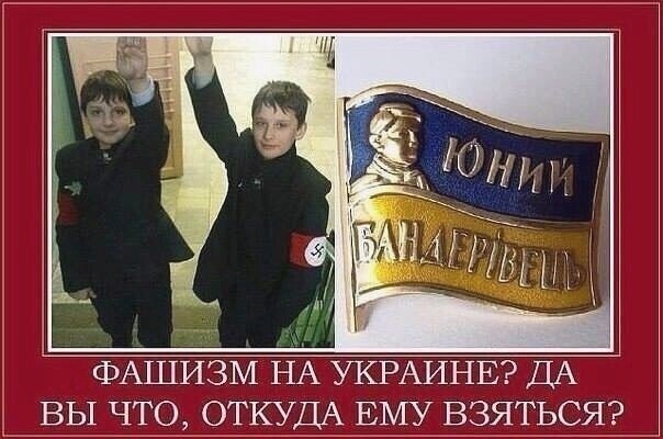 О политике и не только