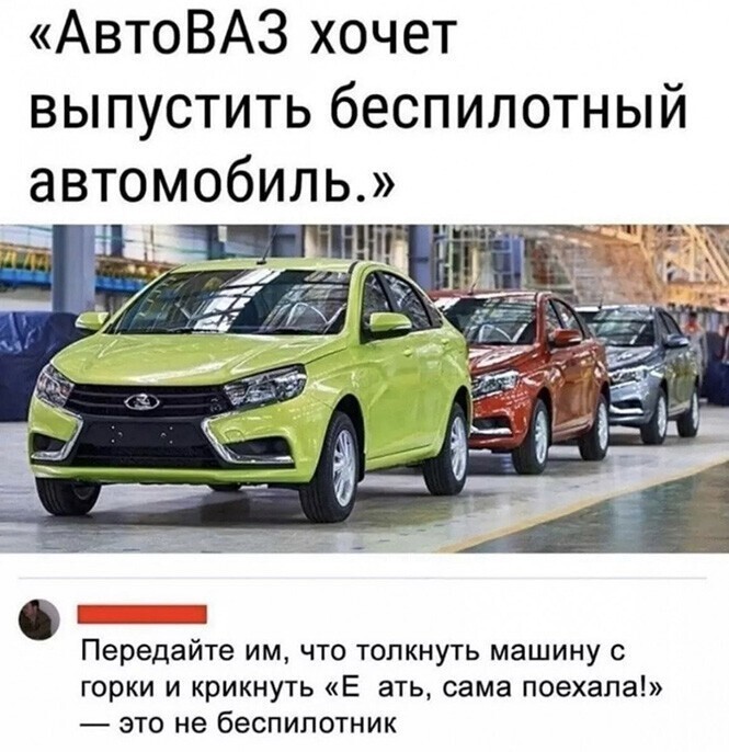 Смешные и познавательные картинки