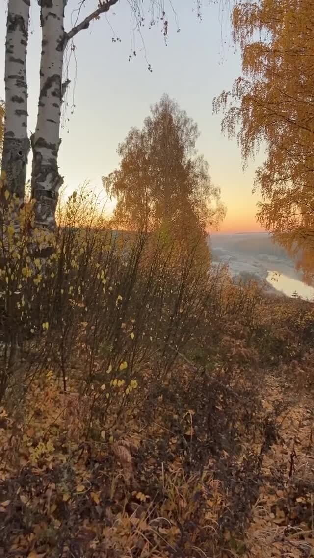 Осенняя красота 