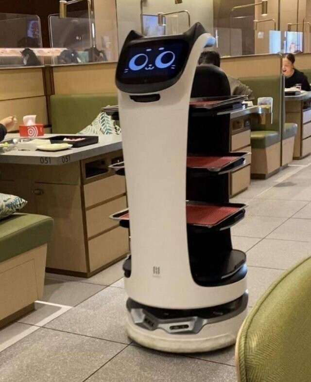 Робот-официант в виде котика в азиатском ресторане