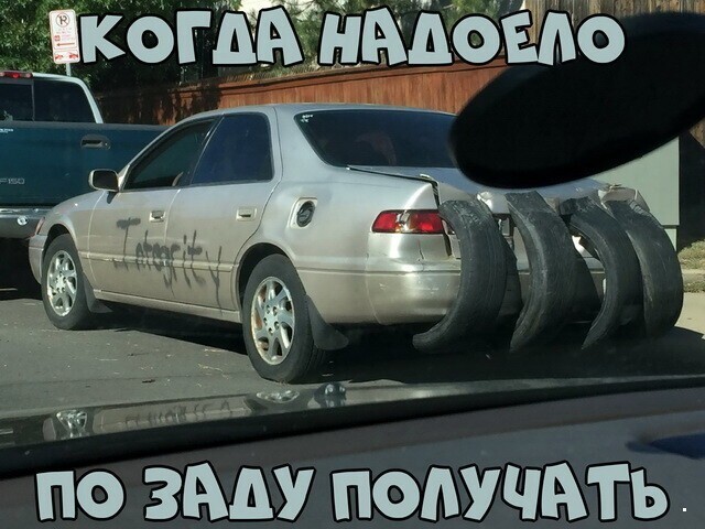 Автовсячина