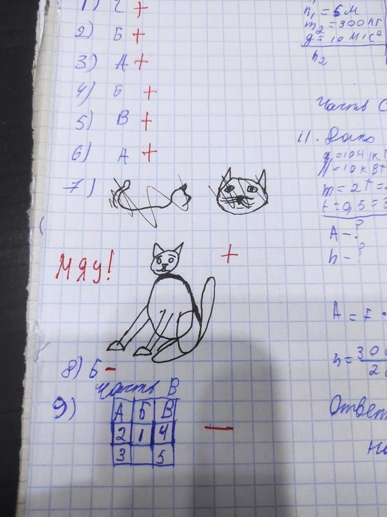 Учительница из Тюмени предложила студентам нарисовать в контрольной котика - справились даже двоечники