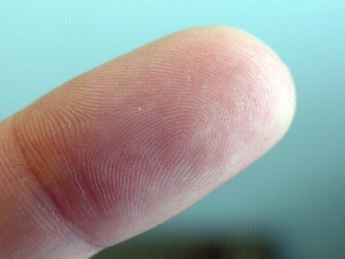 Отпечатки пальцев появляются у человека примерно к трем месяцам
