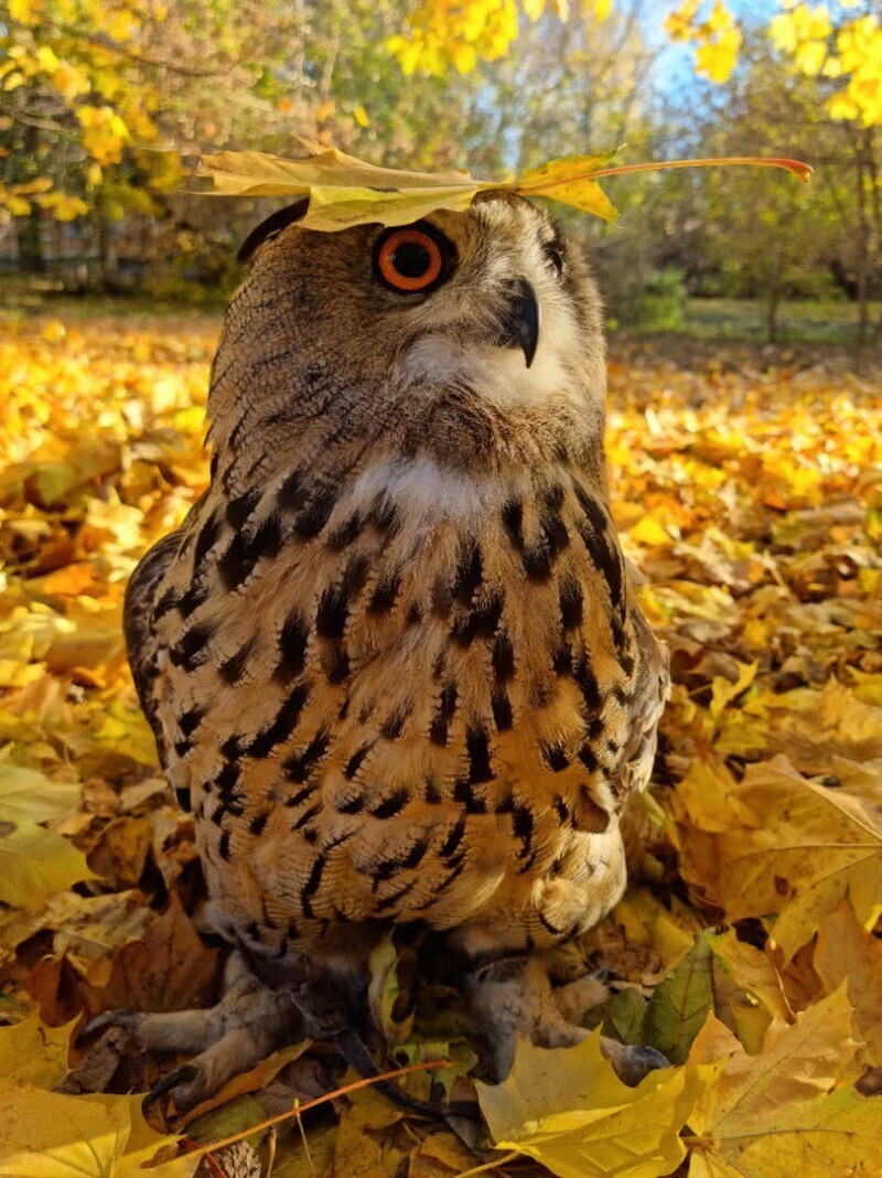 С добрым утром!