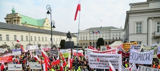 Слухи об экспорте Россией яблок в Европу вызвали «негодование» у поляков