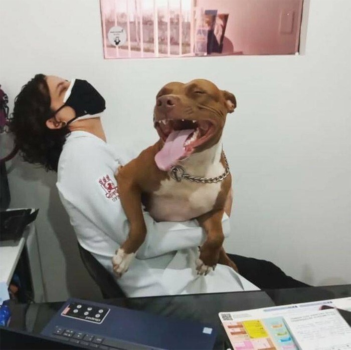 "Моя сестра-ветеринар веселится с пациентом"