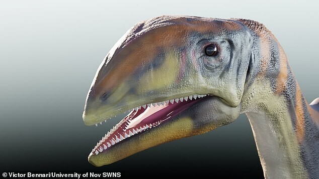 В Гренландии нашли новый вид динозавра