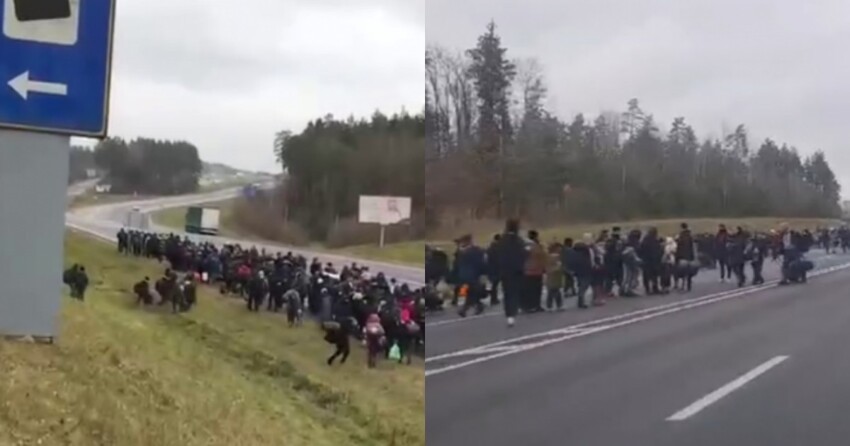Организованная колонна мигрантов в Белоруссии наступает на Польшу