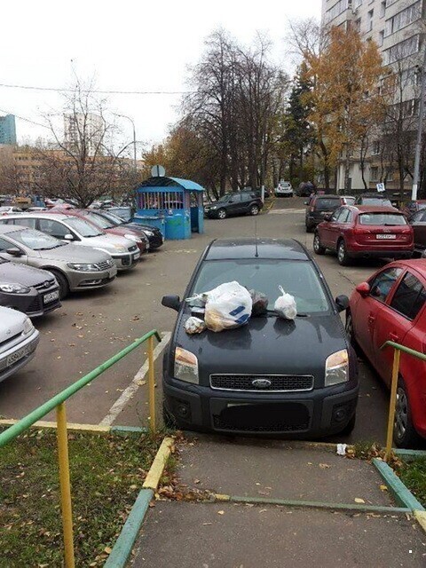 Автовсячина