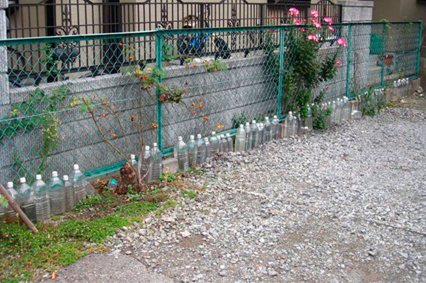 Зачем японцы ставят бутылки с водой перед своим домом?