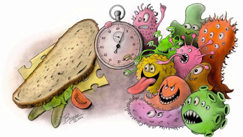 «Правило пяти секунд» с едой – правда или выдумки голодных?