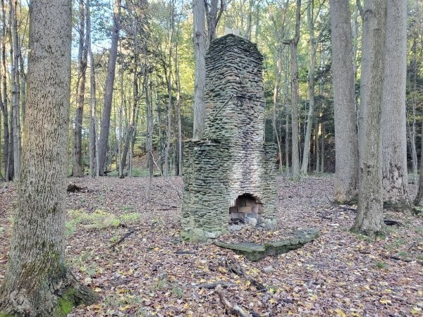 7. Старый дымоход с камином посреди леса