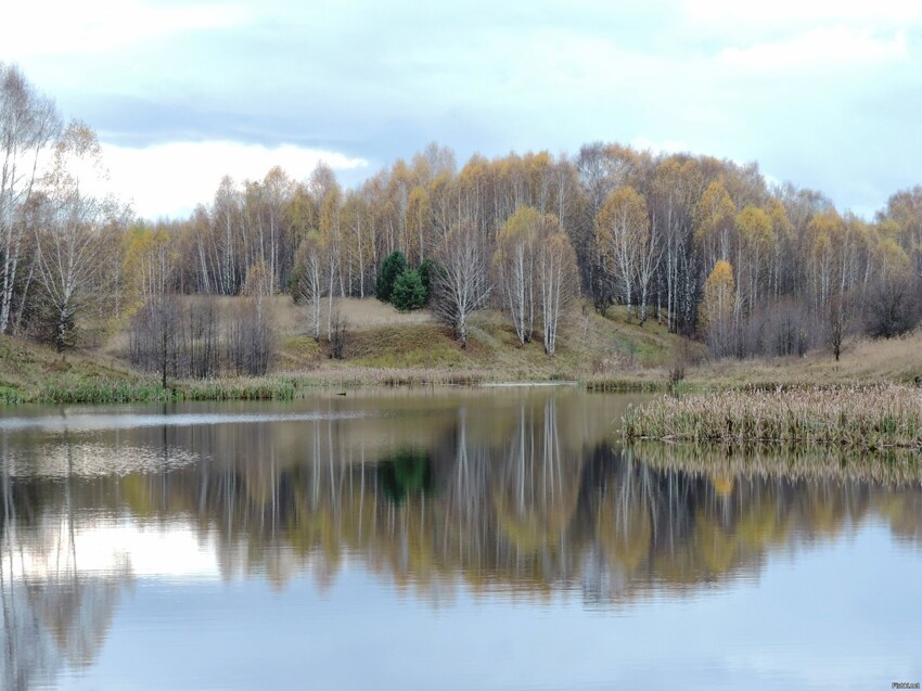 Осенью в Рязанской области