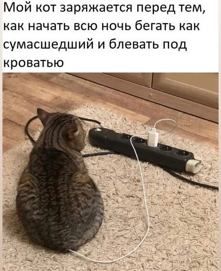 Картинки на сон грядущий