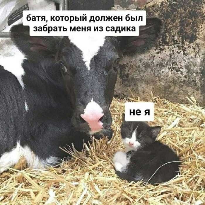 Ну да, бывает