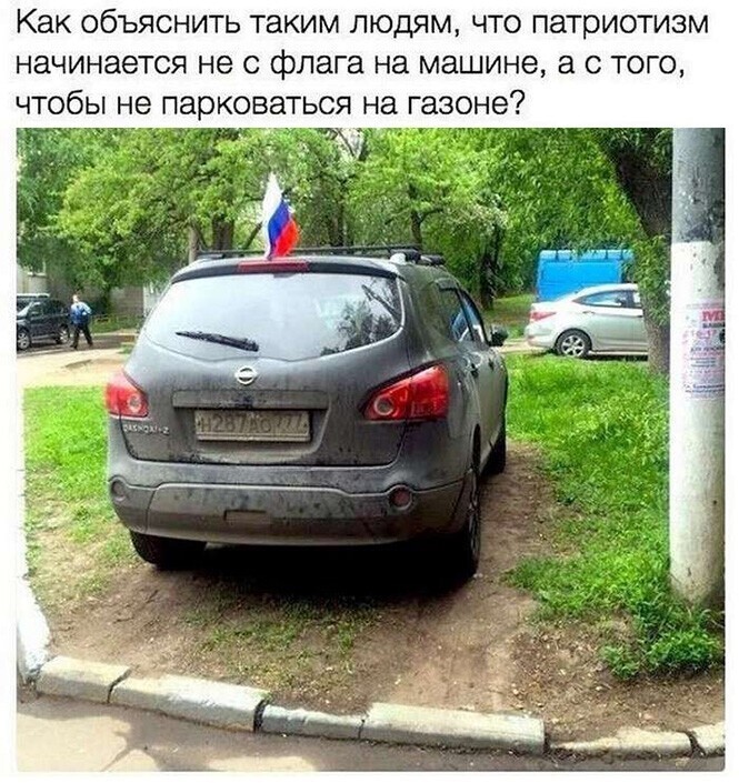 Смешные и познавательные картинки