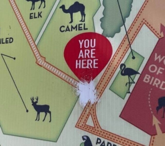 Надпись на схеме зоопарка "Вы здесь" истерлась от частых прикосновений