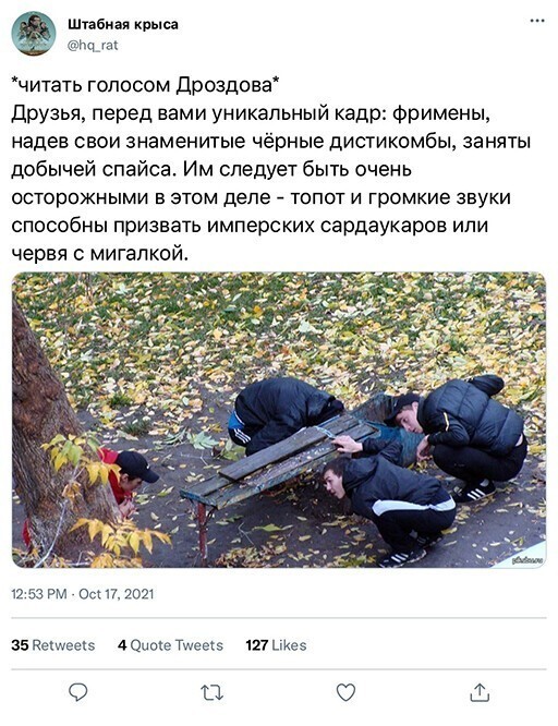 Смешные и познавательные картинки