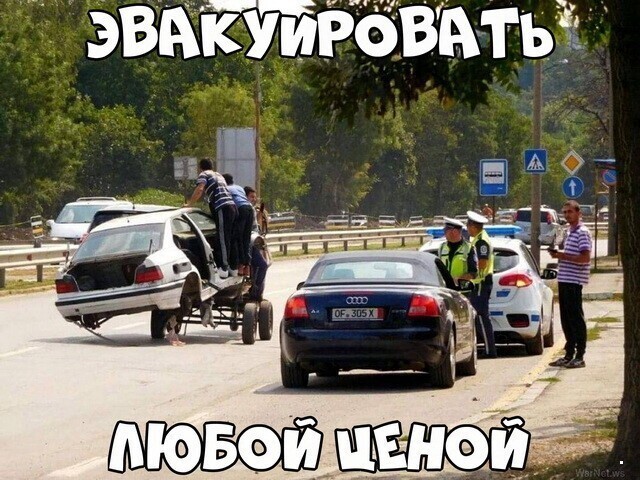 Автовсячина