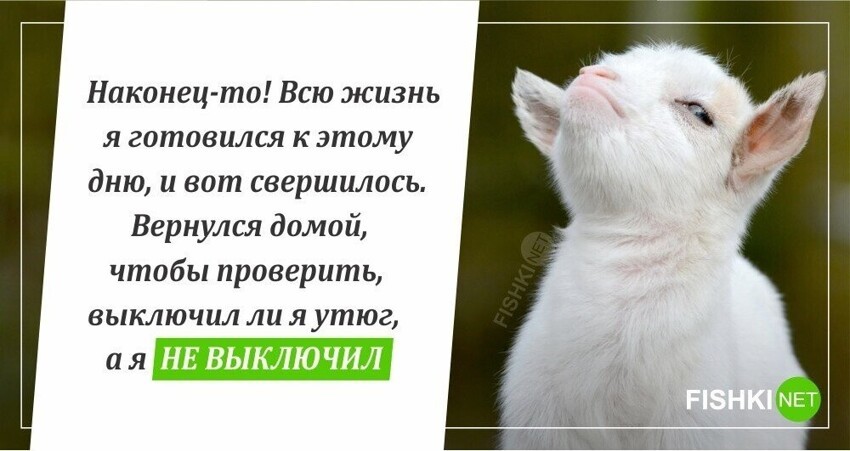 Свершилось!