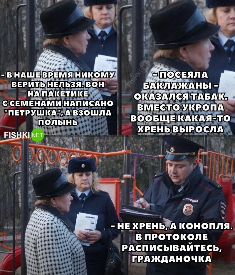 Вот так и покупай семена где попало