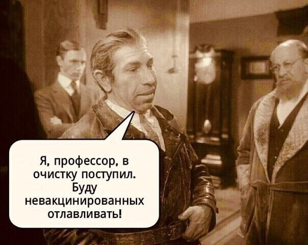 О политике и не только