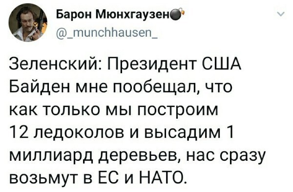 О политике и не только