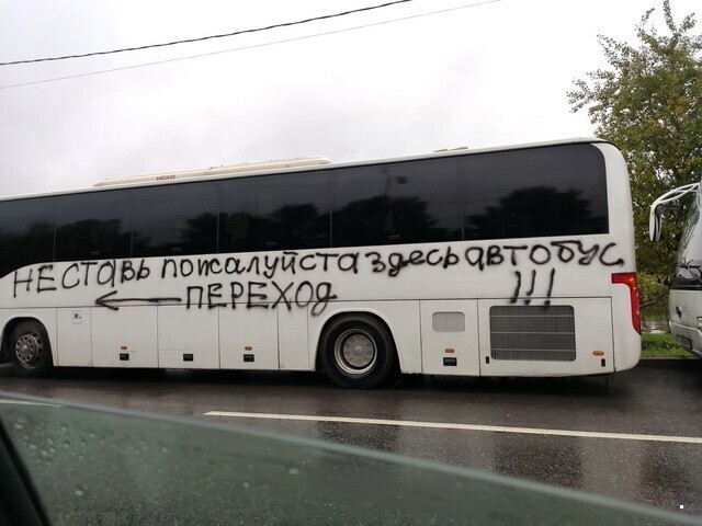 Автовсячина