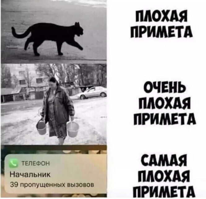 Смешные и познавательные картинки