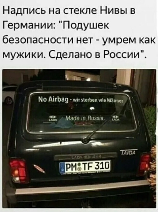 Прикольные картинки