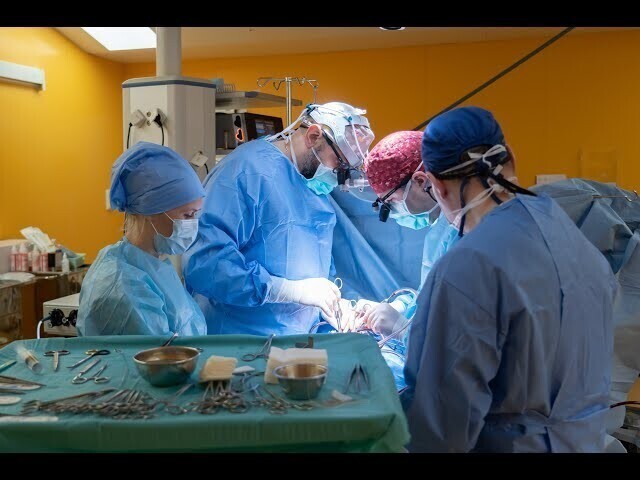Кардиохирургам Морозовской больницы удалось избавить младенца от редчайшей патологии сердца 