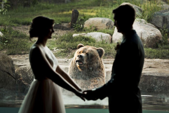 "Мы провели свадебную фотосессию в зоопарке, и вот какой кадр получился с мишкой"